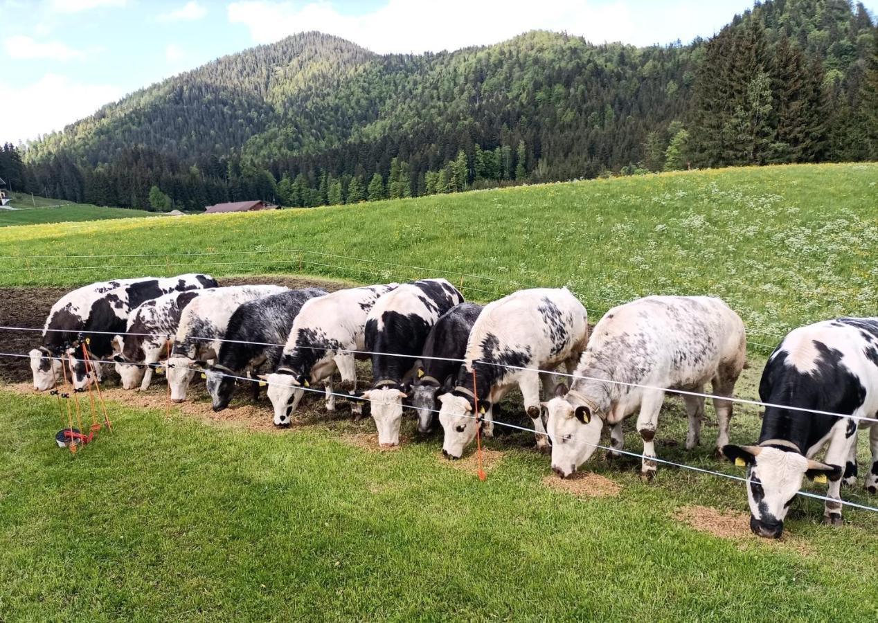Vila Bichlhof Riedenberg Thiersee Exteriér fotografie