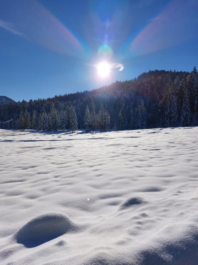 Vila Bichlhof Riedenberg Thiersee Exteriér fotografie