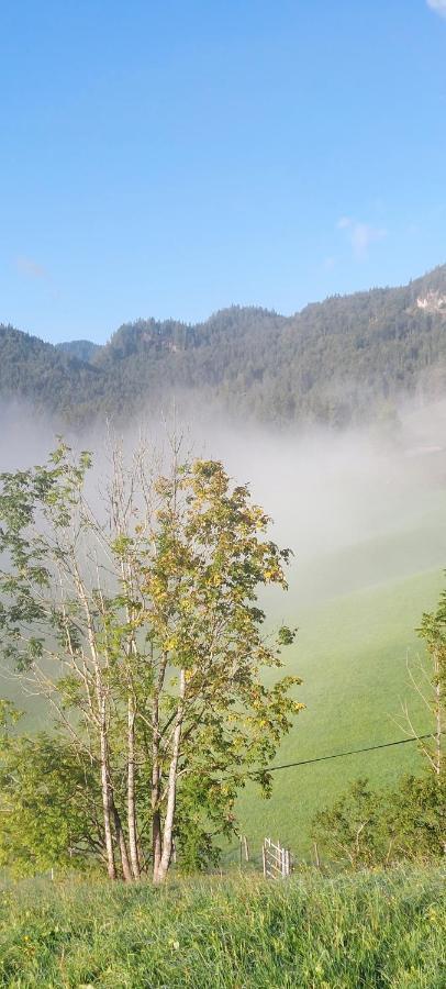 Vila Bichlhof Riedenberg Thiersee Exteriér fotografie