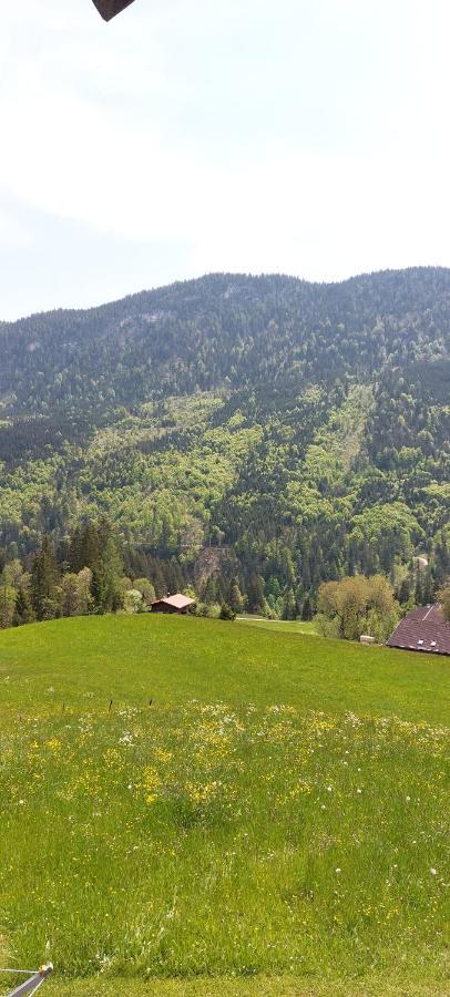 Vila Bichlhof Riedenberg Thiersee Exteriér fotografie